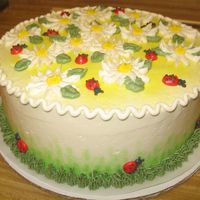Daisies And Ladybugs This was a cute little cake!