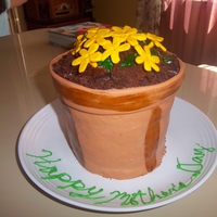 Pot Of Sweet Cake covered in fondant, Gumpaste flowers, and cake crumbs for dirt!