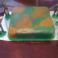 Camo Cake Camo cake for my nephew. it was a white cake with chocolate sprinkles & green sugar to add a camo look inside.