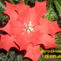 Poinsettia Flower This was my second try at making poinsettias.