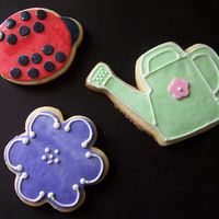 Garden Mix NFSC, Satin Ice fondant, RI details. Made 2 boxes of these for the teacher appreciation week raffles at primary and intermediate schools.