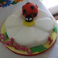 Ladybug And Daisy Cake I used the petal pan for this and carved out the petals for the daisy. Ladybug is cake cut out with large round cutters, then carved into a...