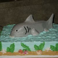Shark!! I was asked to do a cake, fairly last minute that had a shark theme. So here it is! I did a 1/4 sheet, and used a 6" square to sculpt...