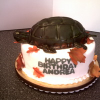 Turtle Cake 10" round white cake with small oval chocolate cake for the turtle. All covered in fondant. Gumpaste/fondant leaves.
