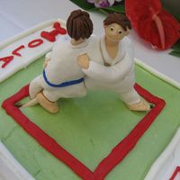 Judo The two judo players are made out of fondant mixed with tagacanth gum. The cake is decorated with bc.