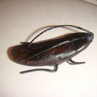 Wall-E Roach Gumpaste roach from the top of my Wall-E cake( http://www.cakecentral.com/modules.php?name=gallery&file=displayimage&pid=1300241...