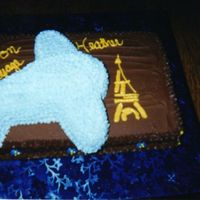 Bon Voyage Cake Did this one for a family friend that was going to.....Paris of course :o)