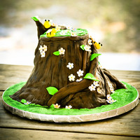 First Birthday Cake I wanted to do something "outdoorsy" for my baby girls first birthday since the party was held at a local park, so I felt the...