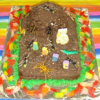Bug Cake 