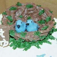 Empty Nest 2 Close-up