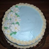 Practice nothing special just using up frosting and hubby wanted some cake!