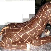 Giraffe a different view