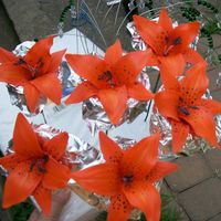 Tiger Lilies they are not botanically correct, but they are still pretty