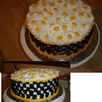Daisy And Checkerboard Chocolate and Vanilla checkerboard cake (well I tried, i don't htink it came out) Vanilla BC.Thanks for all the help everyone!