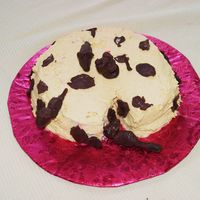 The Mice Ate The Cheese! My daughters creation for her school carnival! Mice are made out of modelling chocolate.