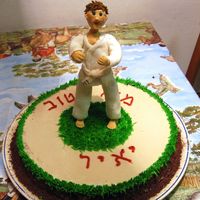 Judo Cake 