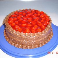 Cherry Cake I made this cake for my own birthday. I used cherry pie filling in a chocolate cake mix and decided to top the cake with more pie filling....
