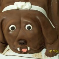 How Much Is That Doggy I took a class taught by Browen Weber and she taught us how to make this wonderful puppy cake It's white cake covered in chocolate...