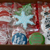 Holiday Cookies NFSC-Spice variation--Antonia's Icing--Stenciled details
