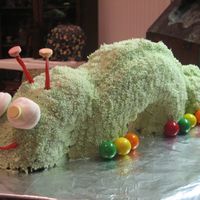 Caterpillar Birthday Cake I made this for a little girl who surprisingly loves bugs.