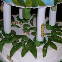 Closeup Of Butterfly Life Cycle For 2005 Arizona Annual Cake And Sugar Arts Show Closeup of the details on the bottom tier with the caterpillars