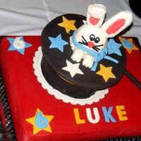 Rabbit In Magic Hat (Put Together) Another pic of previous cake put all together