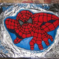 Spiderman Funfetti cake in Wilton Spiderman pan, BC icing for my Son's 4th Birthday