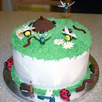 1St Bug Cake I went crazy with the fondant/gumpaste. The flowers and wings are gumpaste. The bugs are all fondant. The anthill is just frosting covered...