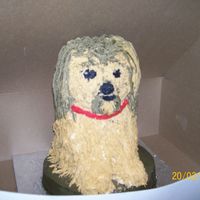 Dog all buttercream