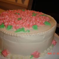 Just Practicing Used the buttercream dream for the first time. Seemed very soft!!!!
