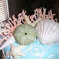 Oval Cake With Sea Shells rolled fondant and fondant shells