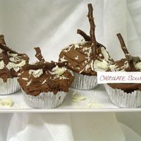 Chocolate Souffle Cup Cake a tasting for a bride and groom.flourless chocolate cake and a fluffy chocolate frosting