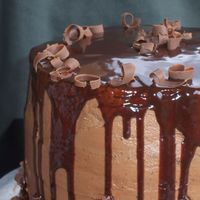 'chocolate Tall Cake' I made this cake for a 4th of July party. It's 8 layers of gooey triple chocolate cake torted with rich chocolate buttercream. Each...