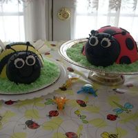 Birthday Bug Cakes I made these cakes for my daughters 2nd birthday. Her party theme inspiration came from the cute bug wrapping paper covering the table. I...