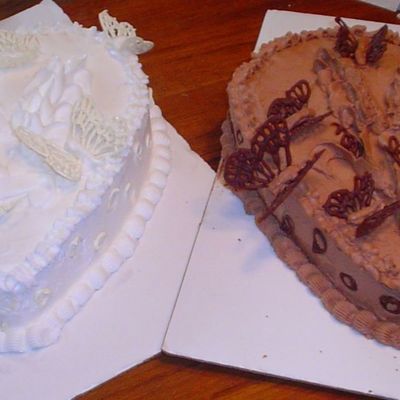 Hearts & Butterflies