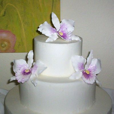 Fuchia Cattalaya Orchids