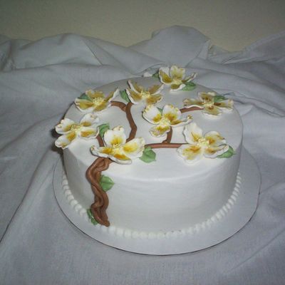 Dogwood Cake