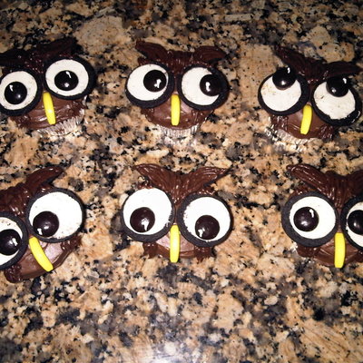 Owl Cupcakes