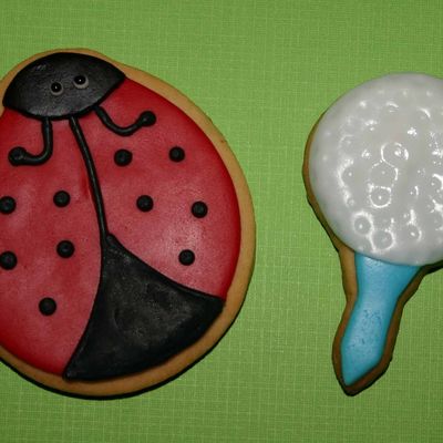 Miscellaneous Cookies