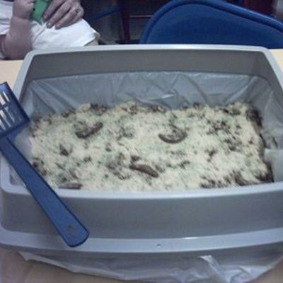 Catbox Cake