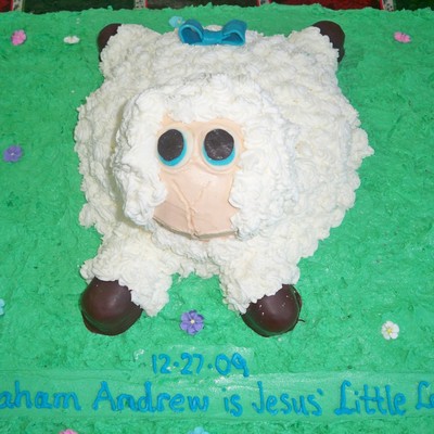 Jesus' Little Lamb
