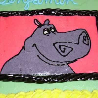 Hippo From Madagascar