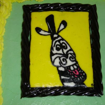 Zebra From Madagascar