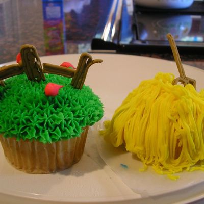 Two Fun Cupcakes