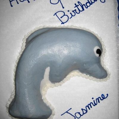 Dolphin Cake
