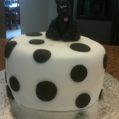 Cheyenne's Cake