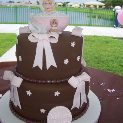 Chocolate & Pink Bow Cake
