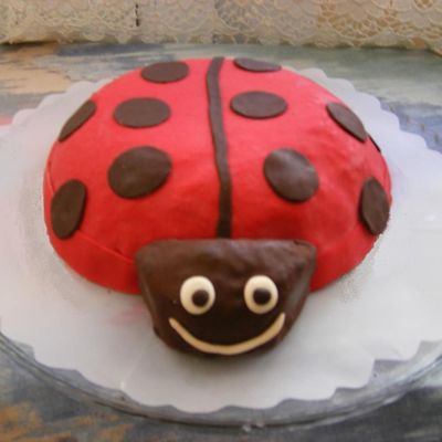 Laydbug Cake