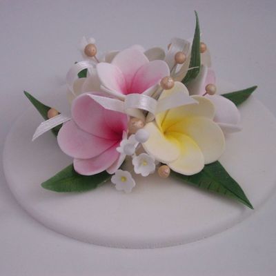Frangipani Spray