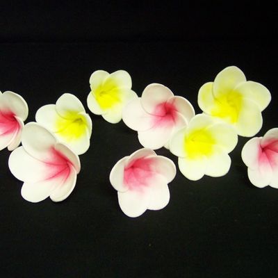 Frangipani Flowers